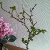 'Τ餻'
